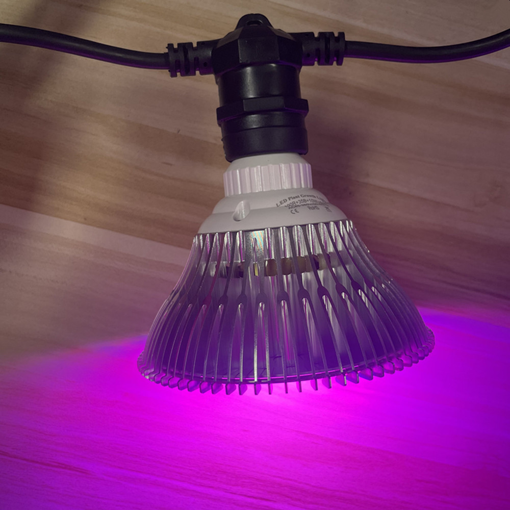 สายไฟ LED ยาว 10 เมตร เกรดเชิง - Outdoor Lighting For Backyard บทวิจารณ์และราคา