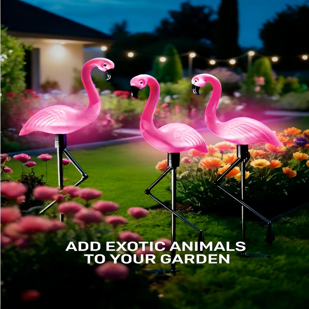 ไฟประดับรูปนกฟลามิงโก 3 ชิ้น ใ - Solar Path Light บทวิจารณ์และราคา